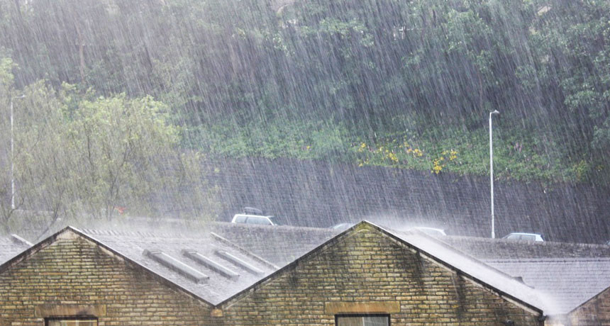 Chuyển nhà khi trời mưa, NÊN hay KHÔNG?